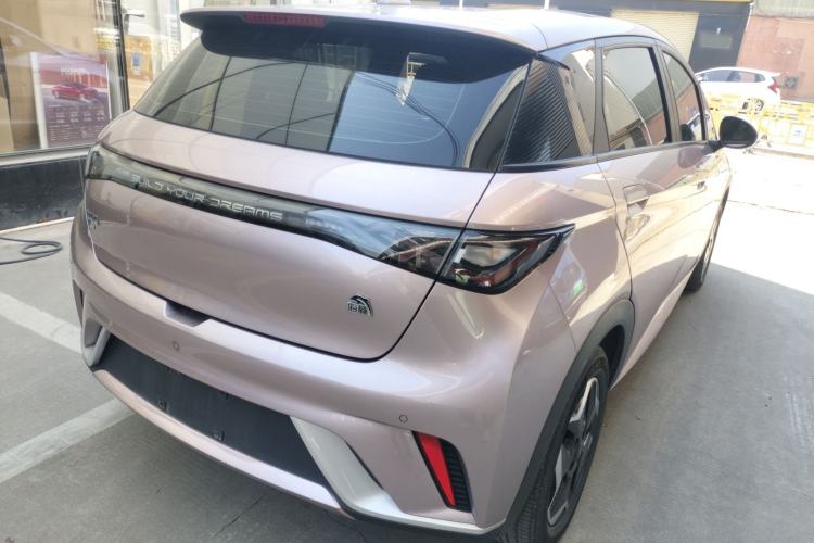 Used BYD Dolphin 2021 405 km Free Version
