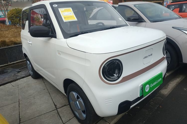 Used  Panda 2024 Panda Mini 200km Endurance Bear
