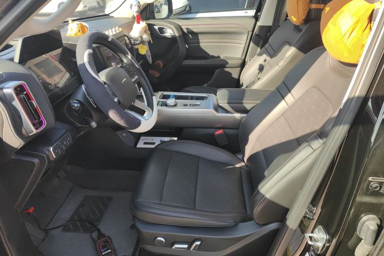 Used Haval DARGO 2024 2.0T DCT Chinese Rural Dog Edition