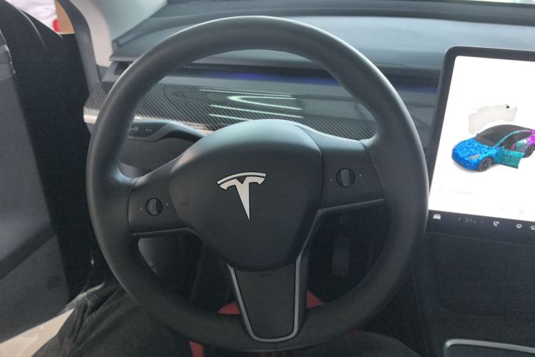 Used Tesla Model Y 2021 Standard Range Rear-Wheel Drive Version
