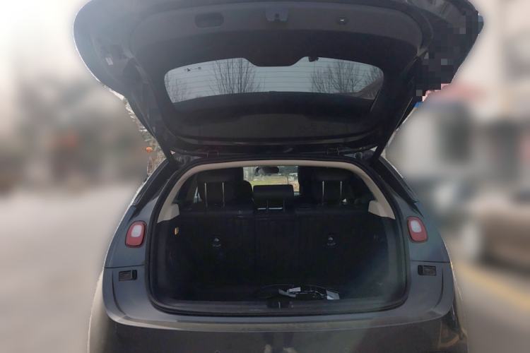 Used firefly firefly 2025 Night Creature Special Edition