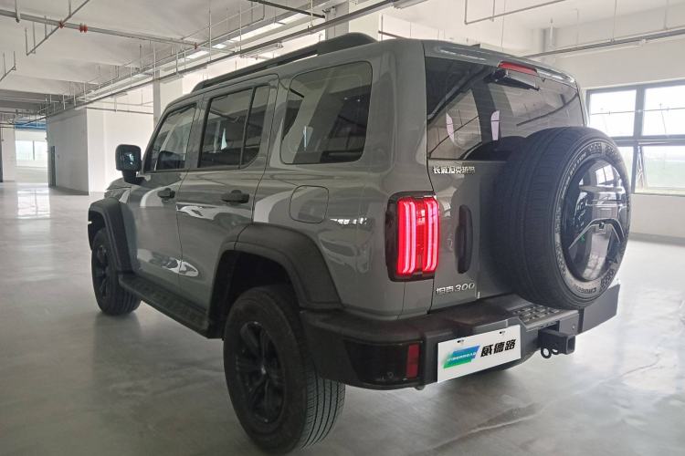 Used Tank 300 2024 2.0T Conqueror
