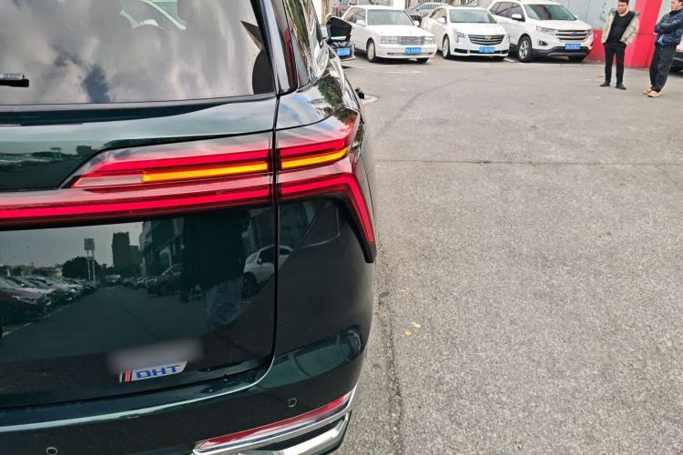 Used Wey Lanshan 2023 Four-Wheel Drive Ultra-Long Range Version
