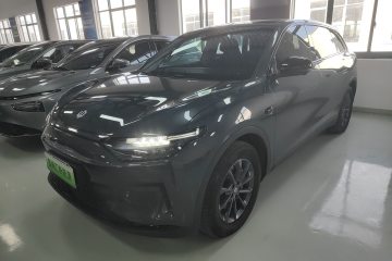 Used Leapmotor C11 2023 Pure Electric 500 Comfort Edition