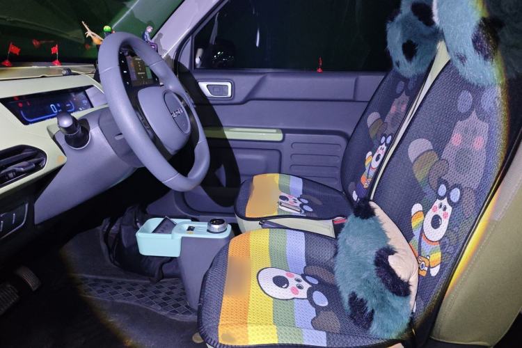 Used  Panda 2024 Panda Mini 200km Endurance Bear