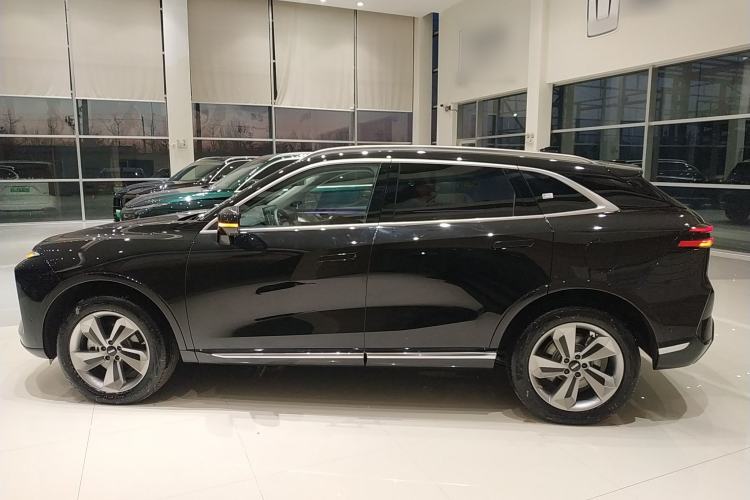 Used Wey Mocha New Energy 2024 Hi4 Four-Wheel Drive Long-Range Version
