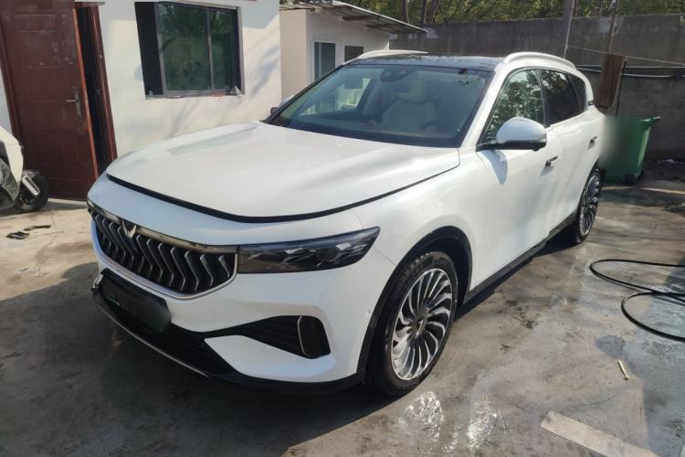 Used VOYAH FREE 2021 Four-Wheel Drive Standard All-Electric Exclusive Luxury Package
