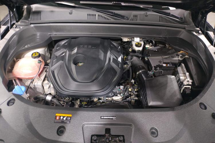 Used Geely Auto Monjaro L 2021 2.0TD DCT EVO Two-Wheel Drive Prestige Version
