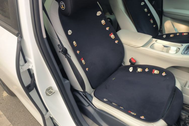 Used  Geome 2025 310km Dream Edition