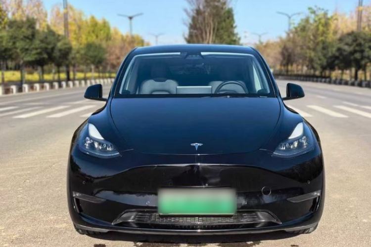 Used Tesla Model Y 2021 Standard Range Rear-Wheel Drive Version
