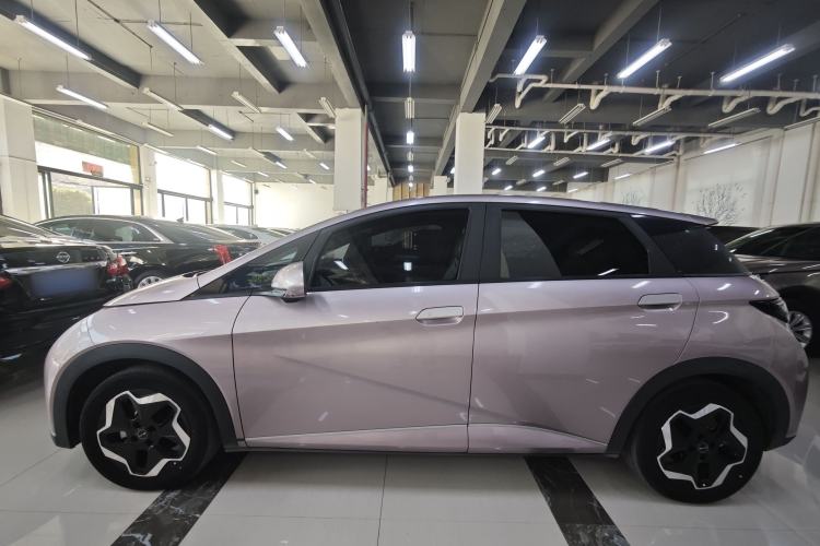 Used BYD Dolphin 2021 405 km Free Version
