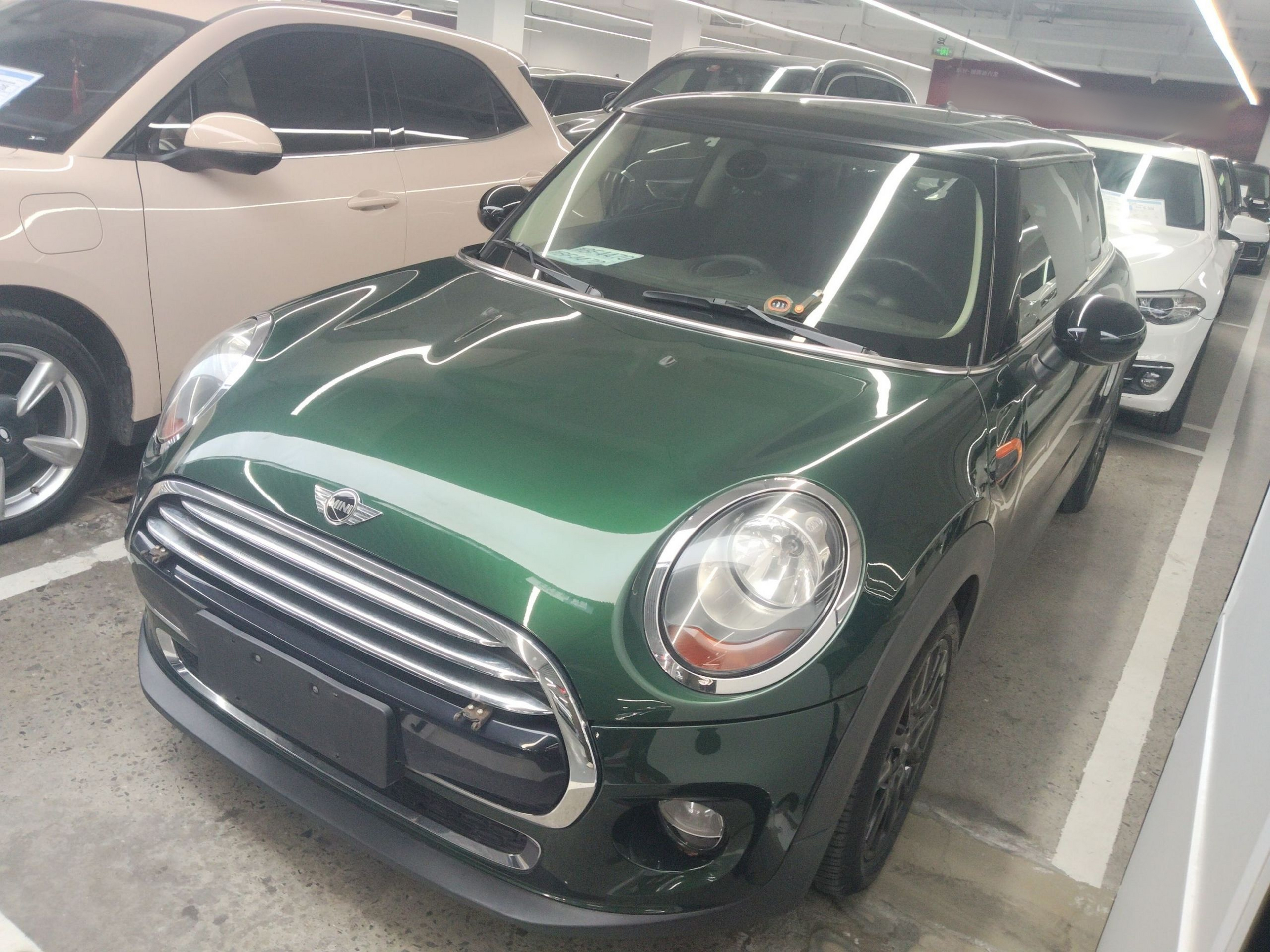 تحت مقدمة السيارة