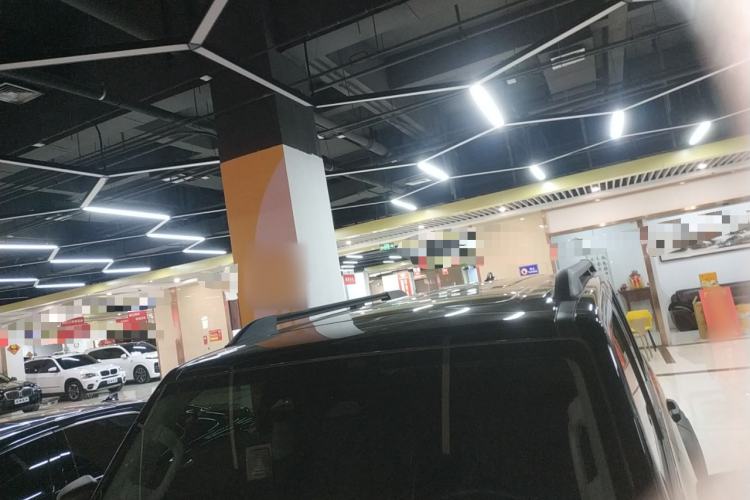 Used Tank 300 2024 2.0T Conqueror