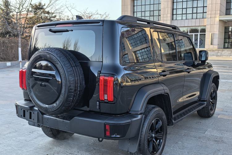 Used Tank 300 2024 2.0T Conqueror