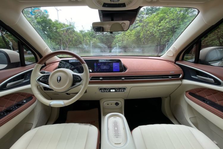 Used ORA Good Cat 2023 401 km Standard Range Luxury Version Lithium Iron Phosphate
