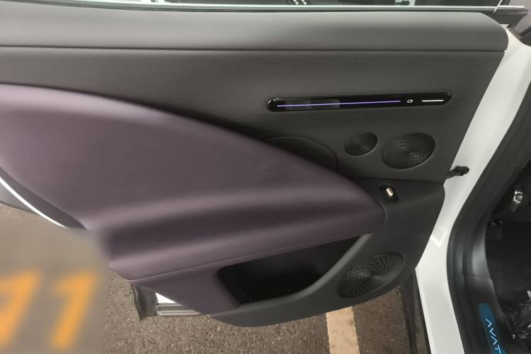 Used  07 2024 Max Pure Electric Edition