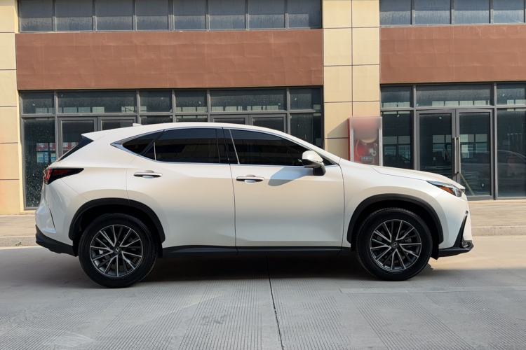 Used Lexus NX 2023 260 Front-Wheel Drive ChuanYou Special Edition
