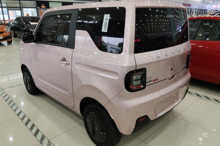 Used  Panda 2023 Panda Mini 200km Endurance Bear
