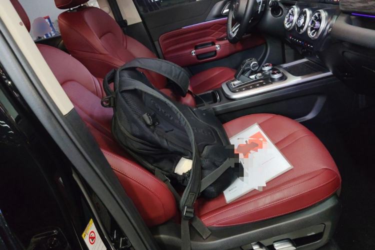 Used Tank 300 2024 2.0T Crosser
