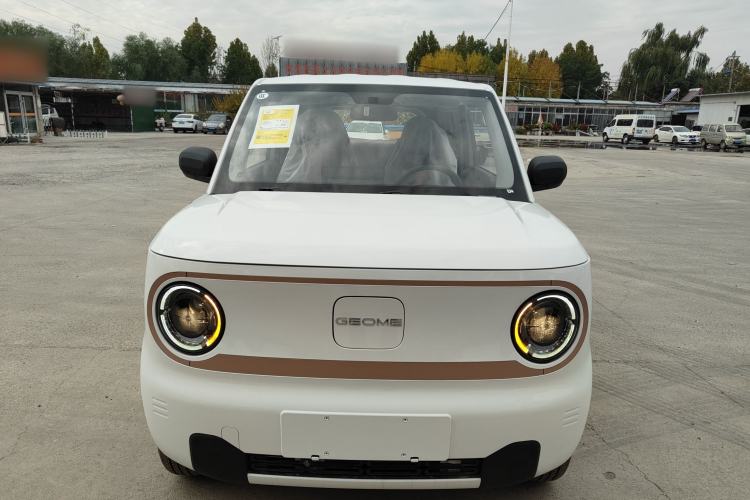 Used  Panda 2024 Panda Mini 200km Endurance Bear
