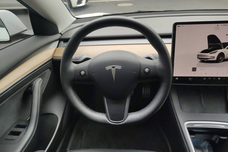 Used Tesla Model 3 2022 Performance High-Performance All-Wheel-Drive Version