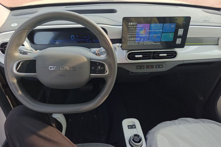 Used  Panda 2025 210 km – Yuanqi Bear
