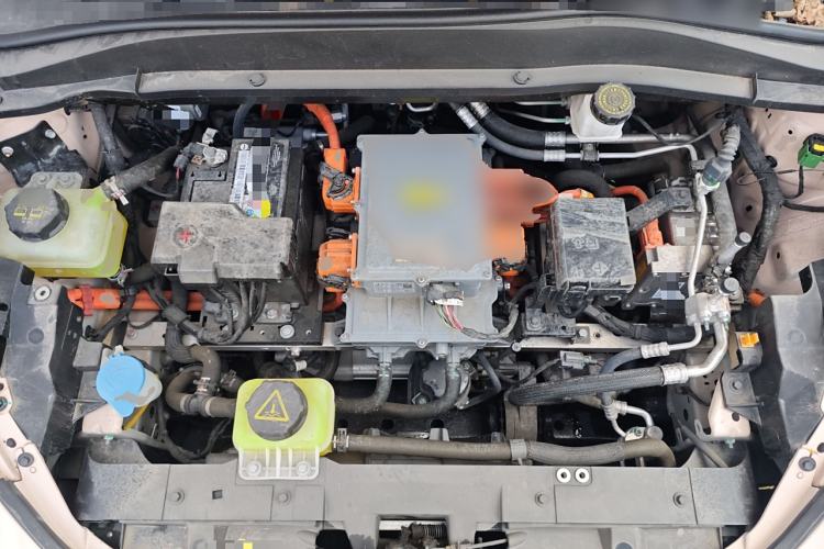 Used ORA Good Cat 2023 401 km Standard Range Luxury Version Lithium Iron Phosphate
