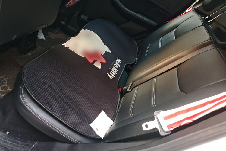 Used BYD Yuan New Energy 2019 EV535 High-Energy Leading Edition