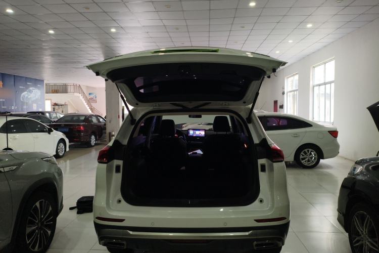 Used Haval H6 2023 National Trend Edition 1.5T Automatic Urban Version
