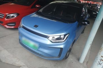 Used SOL E10X 2022 Flower Fairy Design Four-Leaf Clover