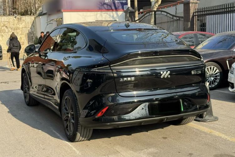 Used  LS6 2023 Max Long-Range Version