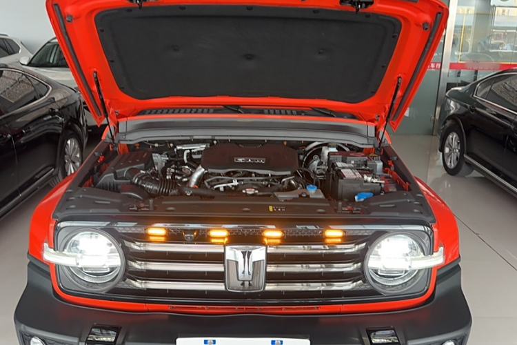 Used Tank 300 2024 2.0T Crosser
