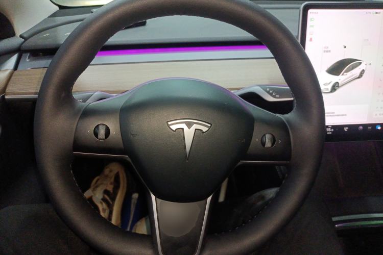 Used Tesla Model 3 2021 Revised Version Standard Range Rear-Wheel Drive Upgraded Edition 3D1
