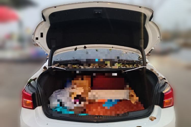 Used Buick Verano 2018 Sedan 15S Automatic Entry Model
