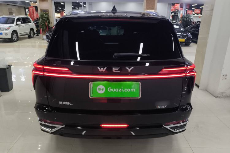 Used Wey Lanshan 2023 Four-Wheel Drive Ultra-Long Range Version
