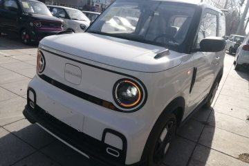 Used Geely Galaxy Panda 2025 210km Panda Kart