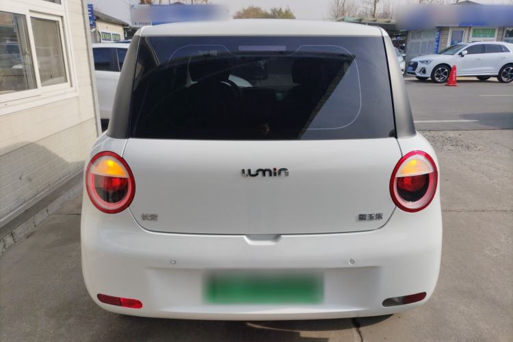 Used  Lumin 2025 205 km Xiangqin Version
