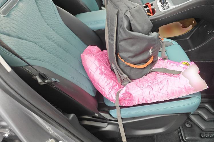 Used  Geome 2025 310km Dream Edition
