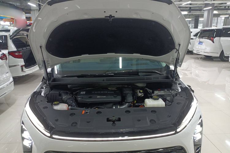 Used Buick GL8 New Energy 2024 Lu Zun Luxury Edition 6-Seater
