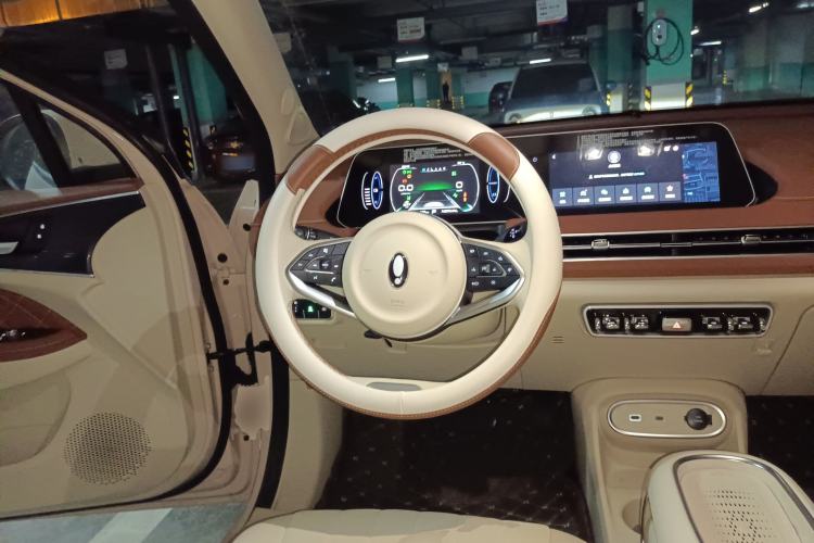 Used ORA Good Cat 2023 401 km Standard Range Luxury Version Lithium Iron Phosphate
