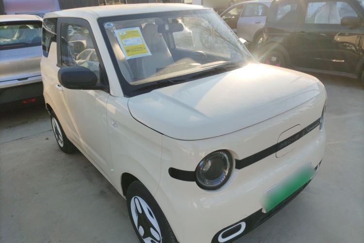 Used  Panda 2025 210 km – Yuanqi Bear
