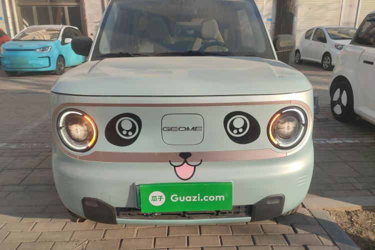 Used  Panda 2023 Panda Mini 200km Dynamic Bear