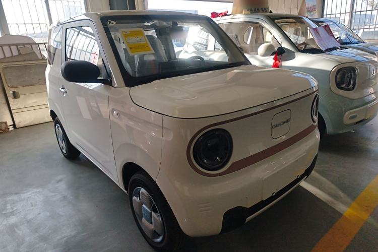 Used  Panda 2024 Panda Mini 200km Endurance Bear
