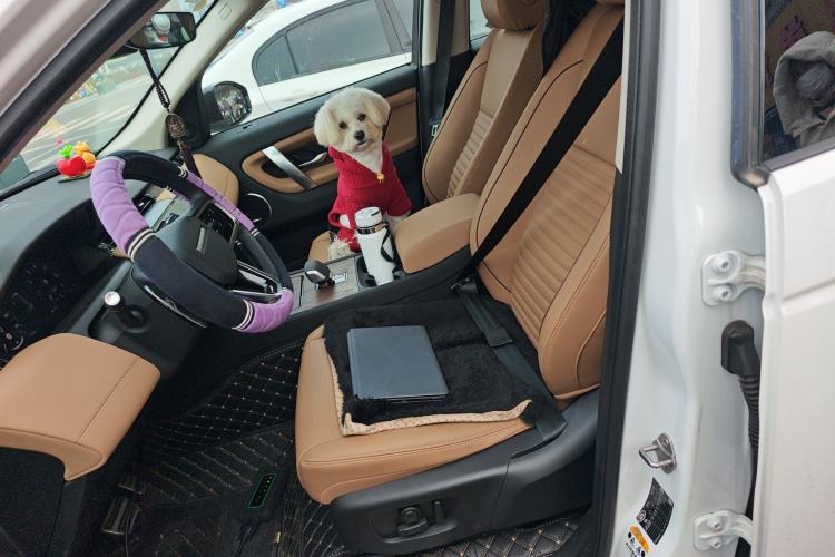 Used Land Rover Discovery Sport 2025 249 PS Performance Tech Edition