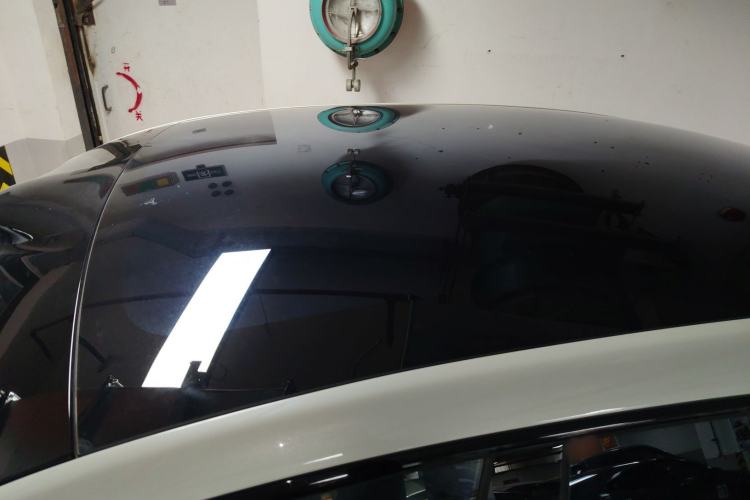 Used  LS6 2023 Max Standard Edition
