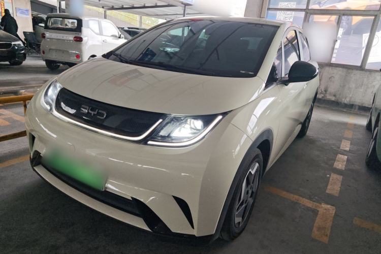 Used BYD Dolphin 2025 420km Free Edition