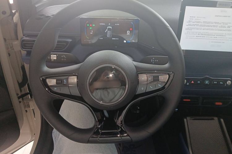 Used BYD Seagull 2025 Intelligent Driving Version 305 km Dynamic Edition
