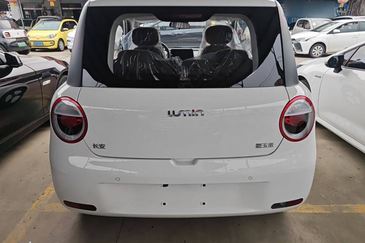 Used  Lumin 2025 205 km Xiangqin Version
