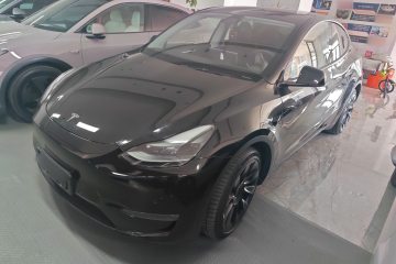 Used Tesla Model Y 2021 Long-Range All-Wheel-Drive Version 3D7