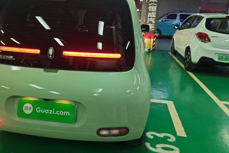 Used ORA White Cat 2020 305 km Luxury Version
